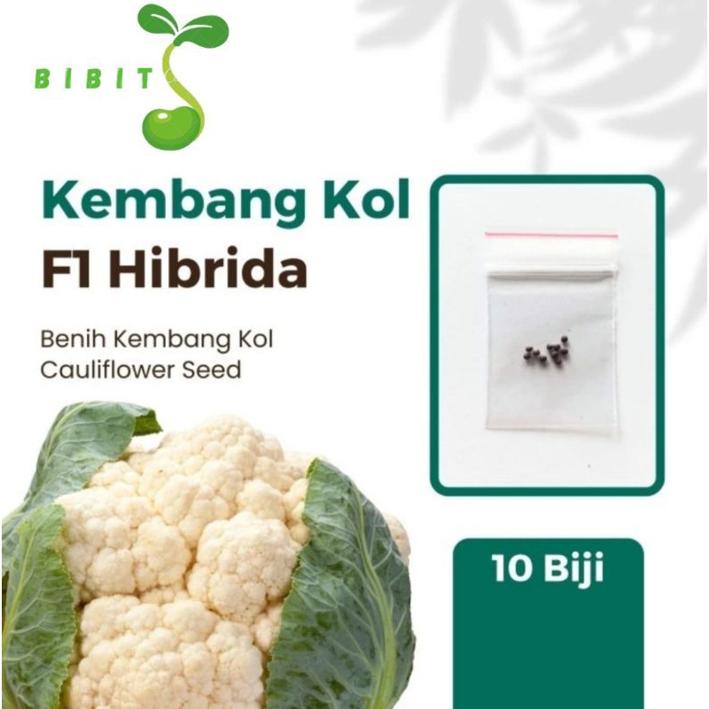 

10 Benih Kembang Kol F1 Diamond 40 Know You Seed Bibits berkualitas Unggul