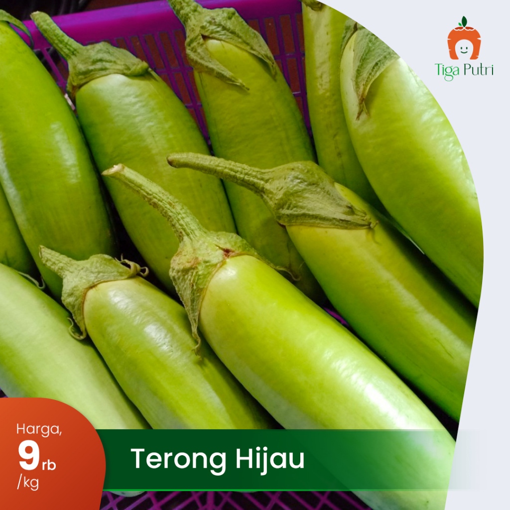 

Terong Hijau Fress & Sehat