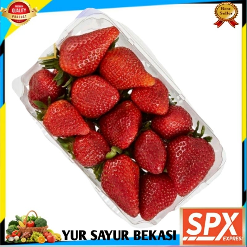 

Strawberry 1 pack/Mika.