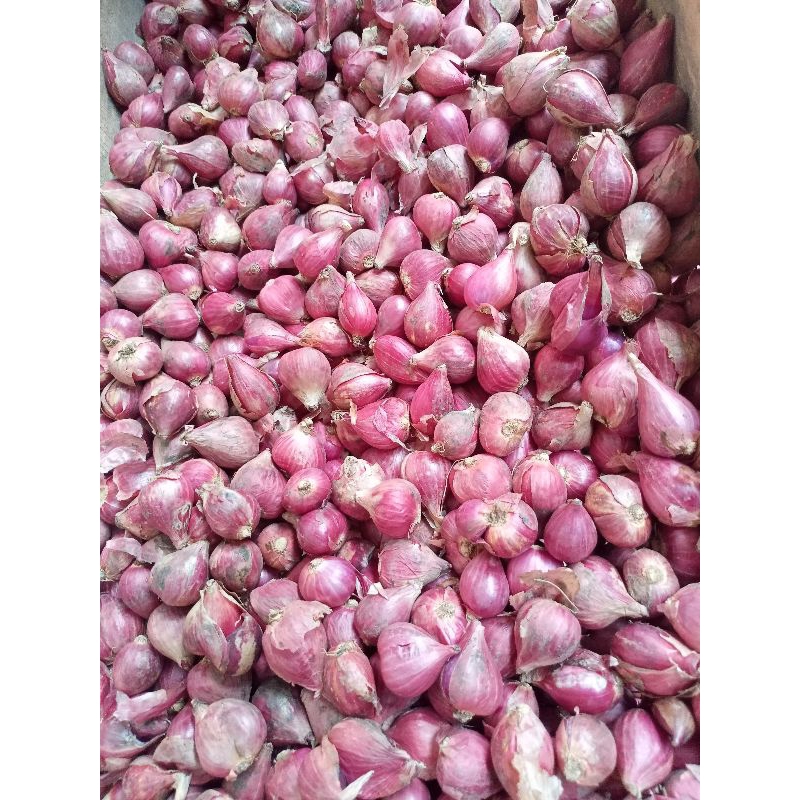 

(BISA COD) 1KG BAWANG MERAH BEREBES UKURAN SEDANG ASLI BREBES TERLARIS