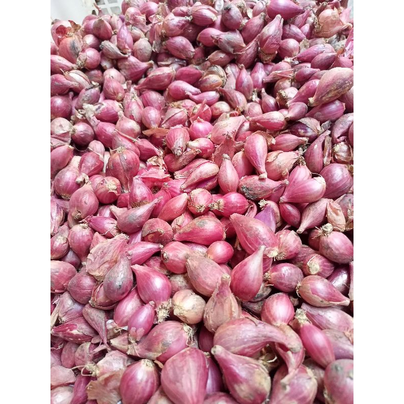 

BAWANG MERAH UKURAN SEDANG 1KG ASLI BREBES TERLARIS