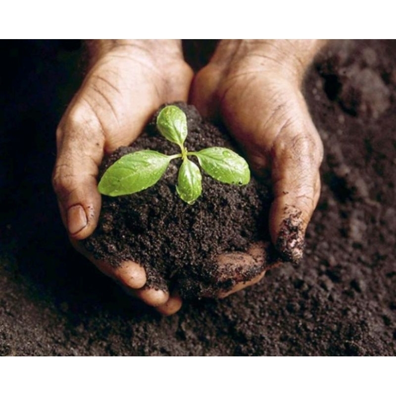 media tanam tanah gembur dan subur 500gram