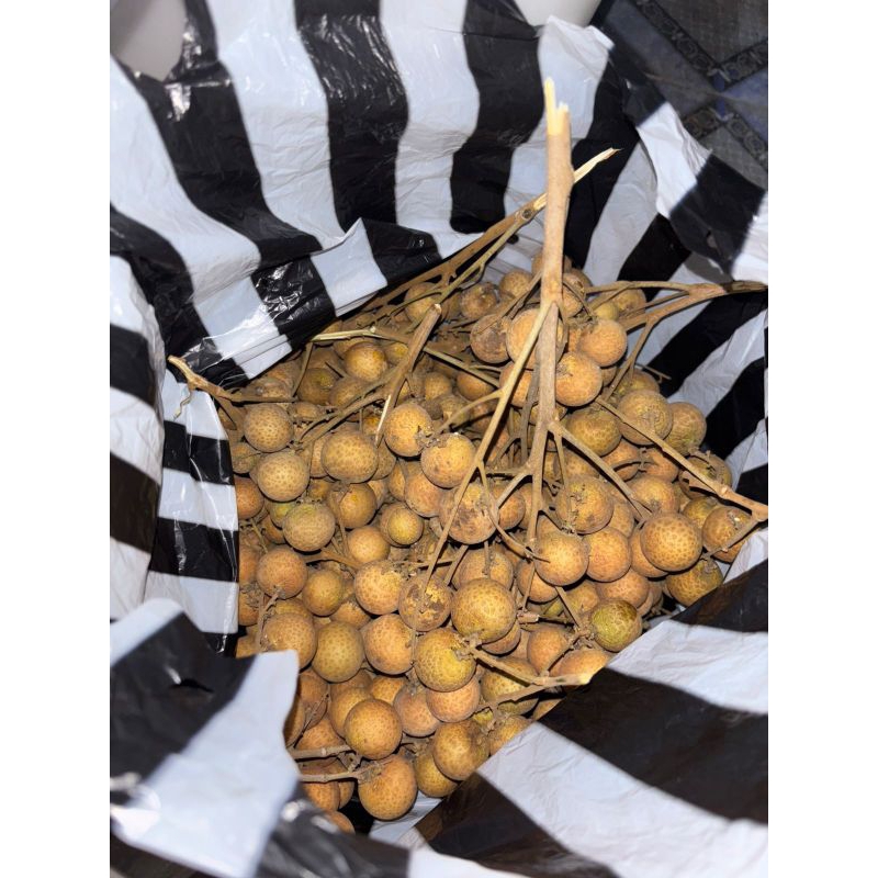 

Buah Kelengkeng Segar hasil panen sendiri