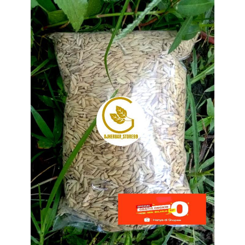 

BENIH PADI BERAS MERAH 1KG SIAP KIRIM BENIH UNGGUL