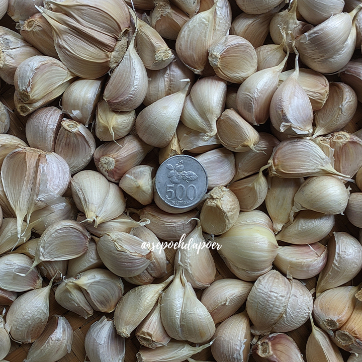 

Bawang Putih Kating Bersih 500gram, 250gram Berkualitas