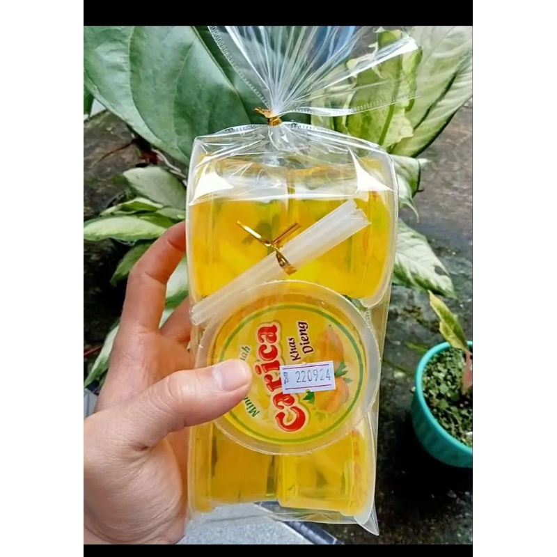 

Carica Khas Dieng Wonosobo isi 6 cup besar