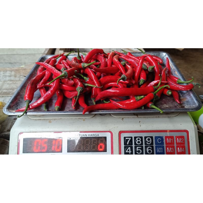 

cabai merah besar 500 grm