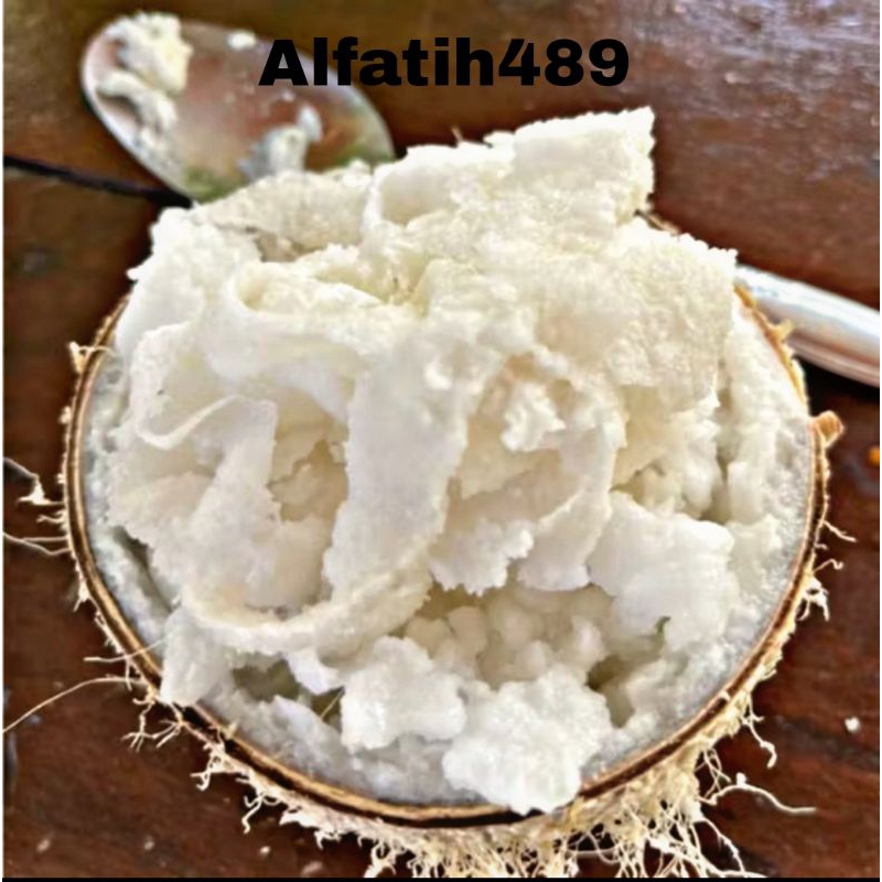 

KELAPAKOPYORENAK/KELAPAKOPYORSEGER