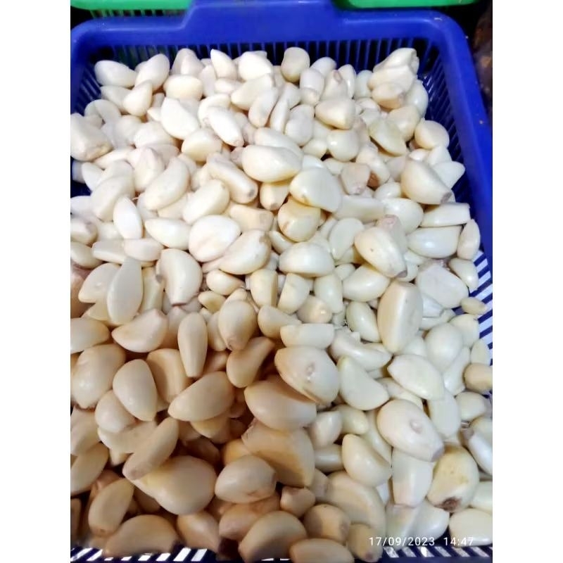 

Bawang putih kupas || KRIEGER