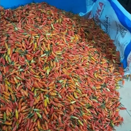 

Cabe Rawit Ori 212 merah pedas cabai rawit original murah