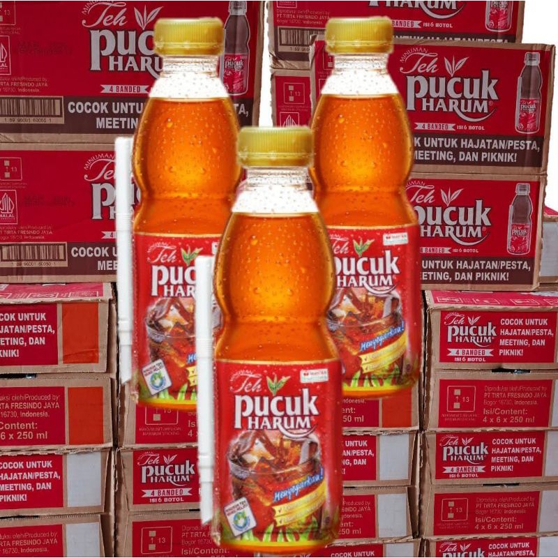 

1 Dus TEH PUCUK MINI 250ml (isi 24pcs)