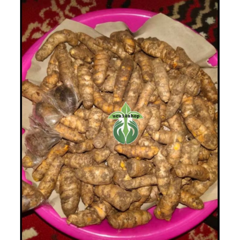 

kunyit segar/kunir segar 500gram