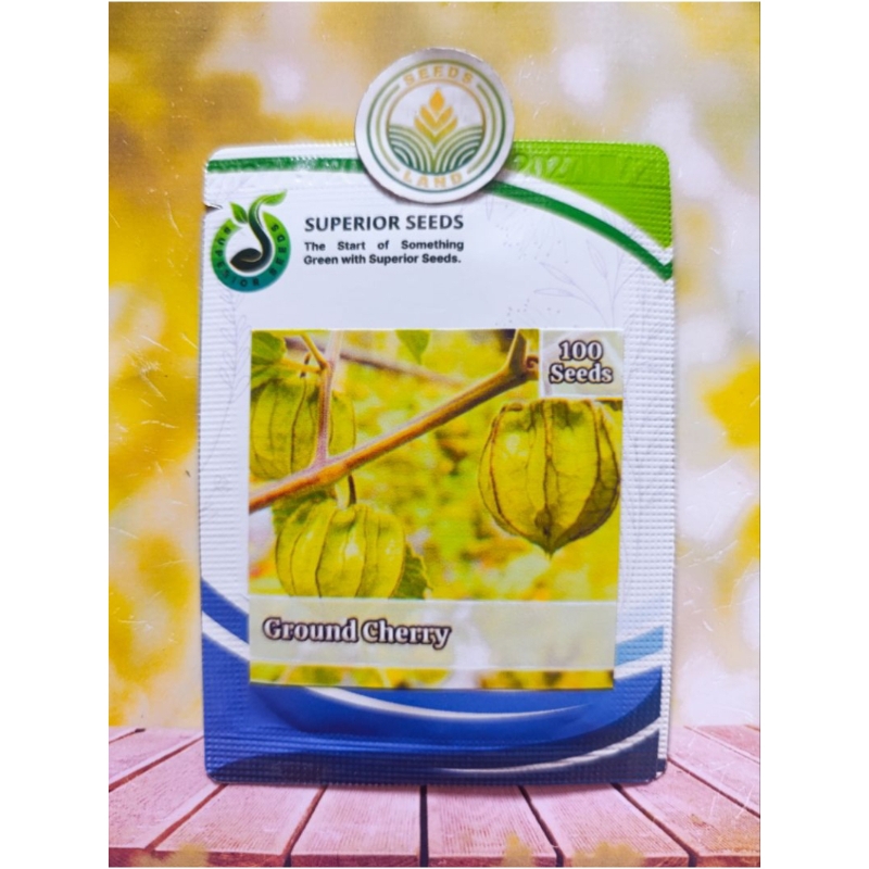 BIJI BUAH CIPLUKAN JUMBO KEMASAN ORIGINAL