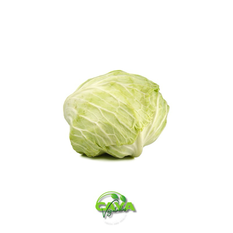 

KIRIM INSTAN Kol Putih Segar 500g/1kg – Sayuran Serbaguna untuk Hidangan Sehat | CayaVegetables