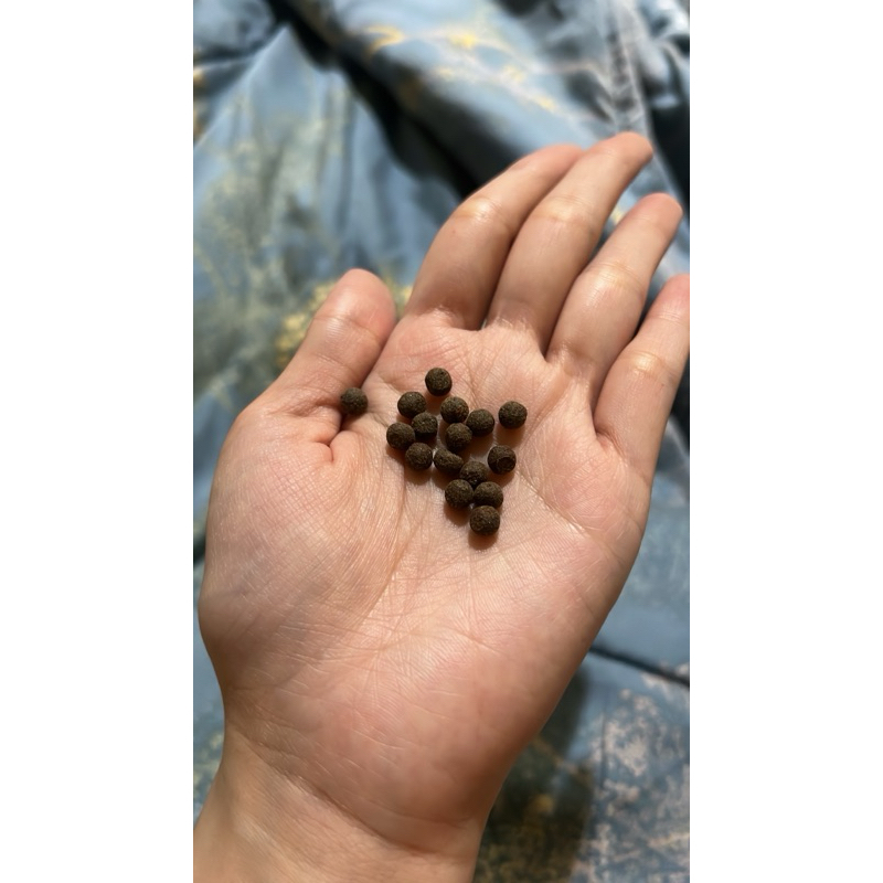 

JAMUKALIMANTAN!jamukembaliperawan