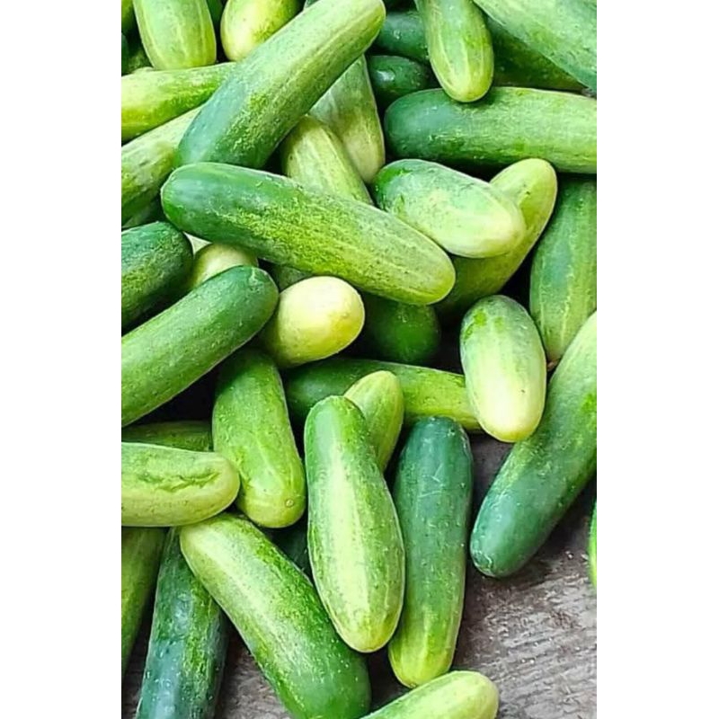 

mentimun/timun 500g