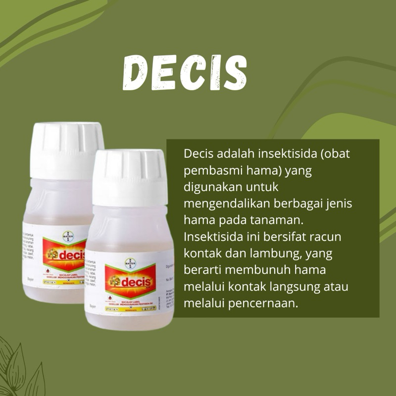 DECIS 100ML