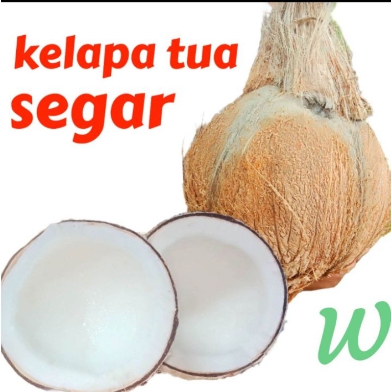 

kelapa tua ukuran (B) sedang,yang siap melezatkan masakan anda