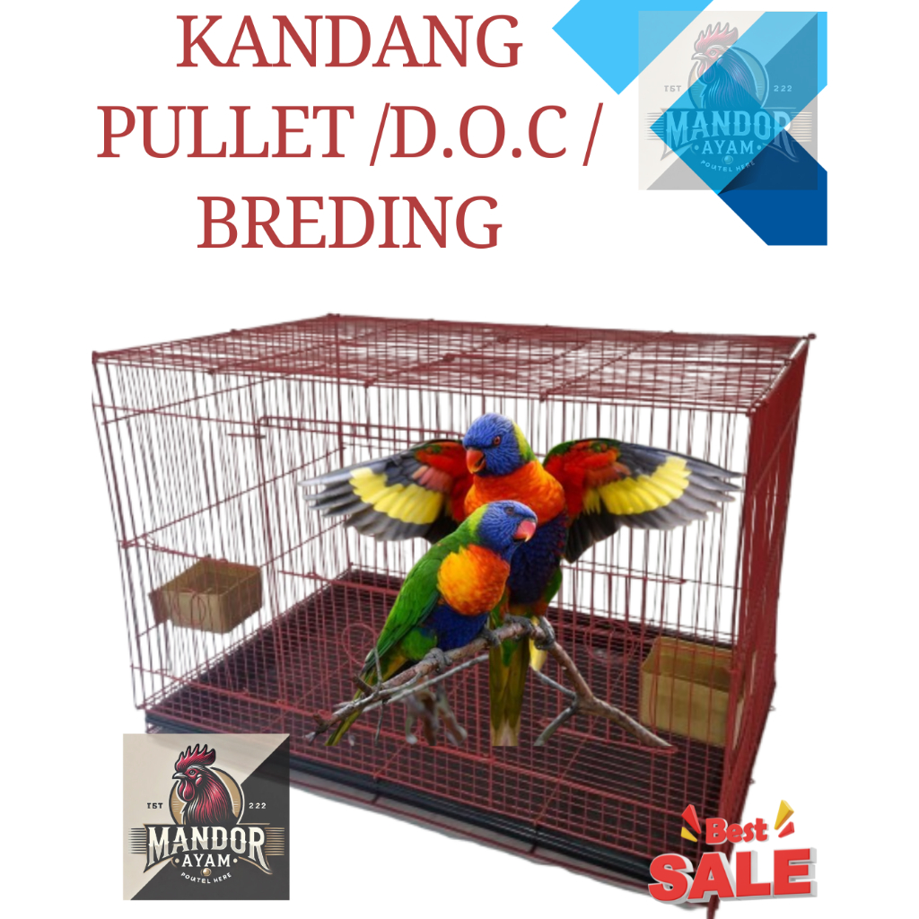 Kandang / Sangkar Ukuran 60x40 I Cocok untuk D.O.C, Pullet, Breeding Dan Ombyokan I Best seller