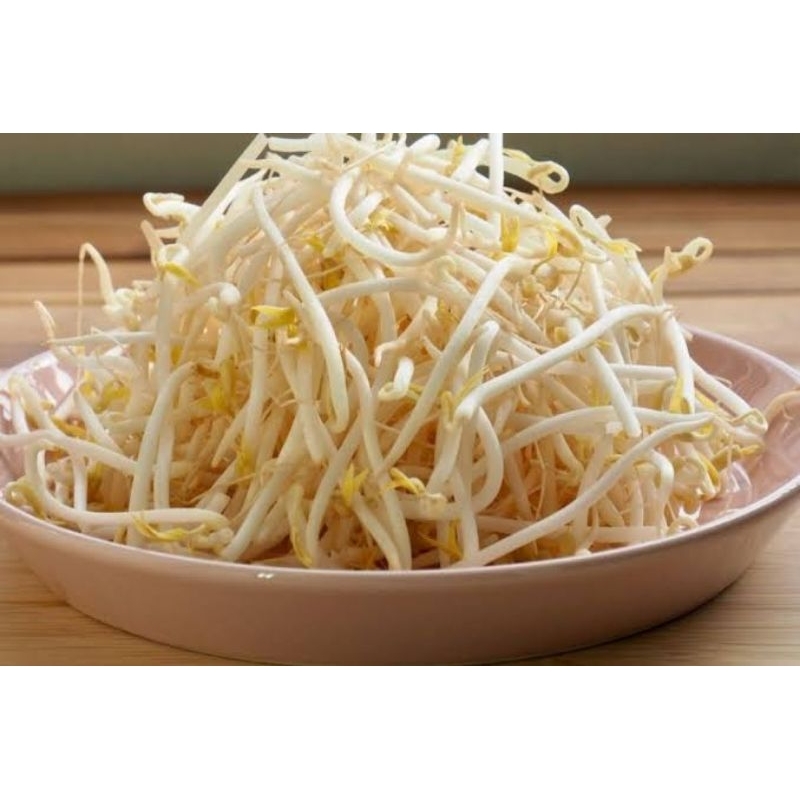 

toge sayur fresh segar termurah 250 gr 500 gr 1 kg