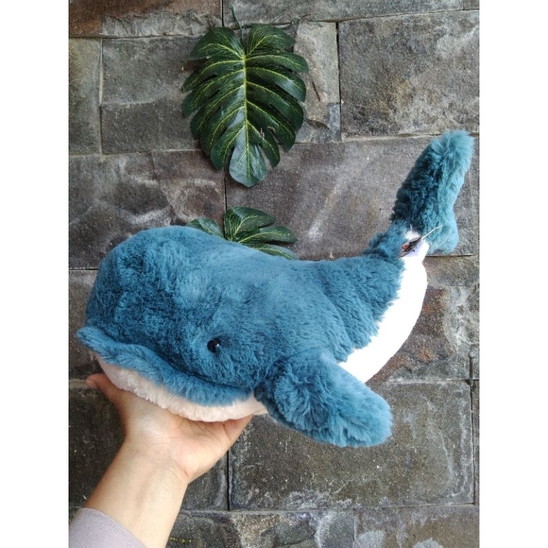 whally whale size medium by jellycat