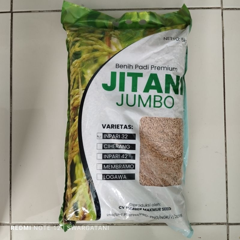 BENIH PADI INPARI 32 JITANI JUMBO - 5 KG