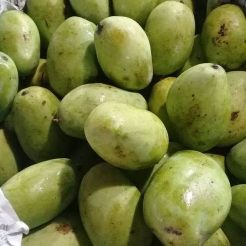 

PROMO! Mangga Indramayu Mengkel 1000 Gram