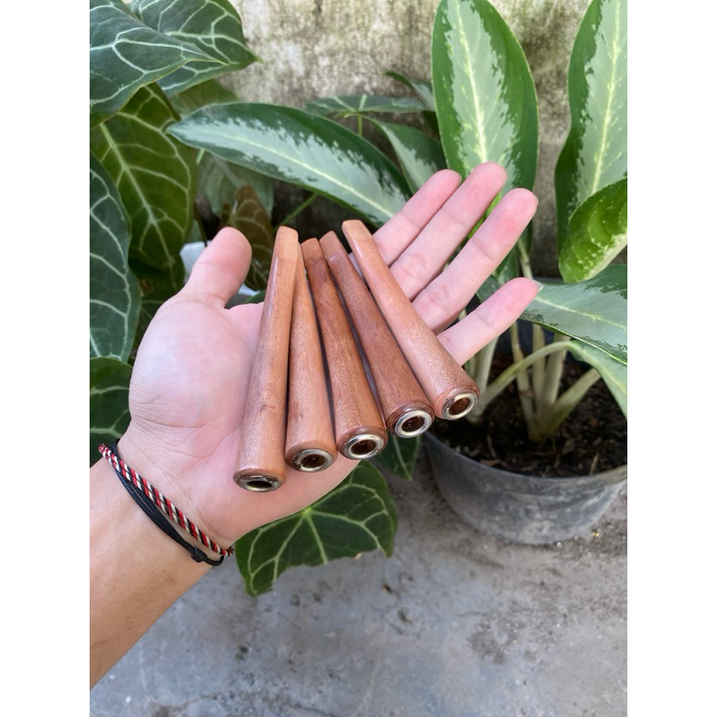 Once piprok kayu stigi