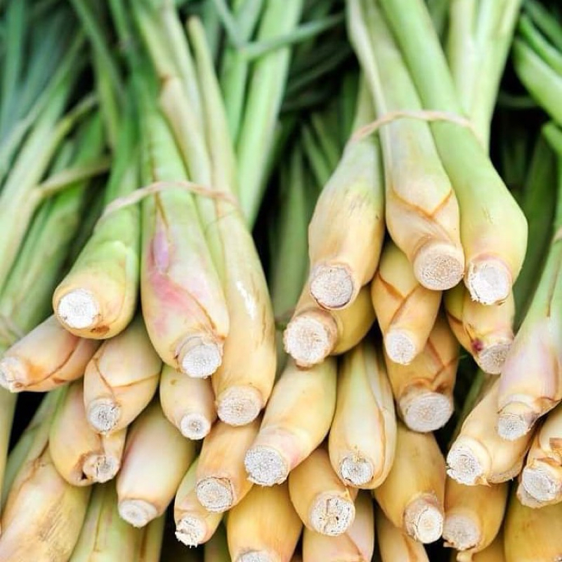 serai // daun serai 1kg