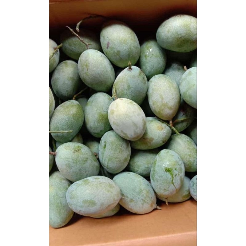 

mangga madu mentah kriuk