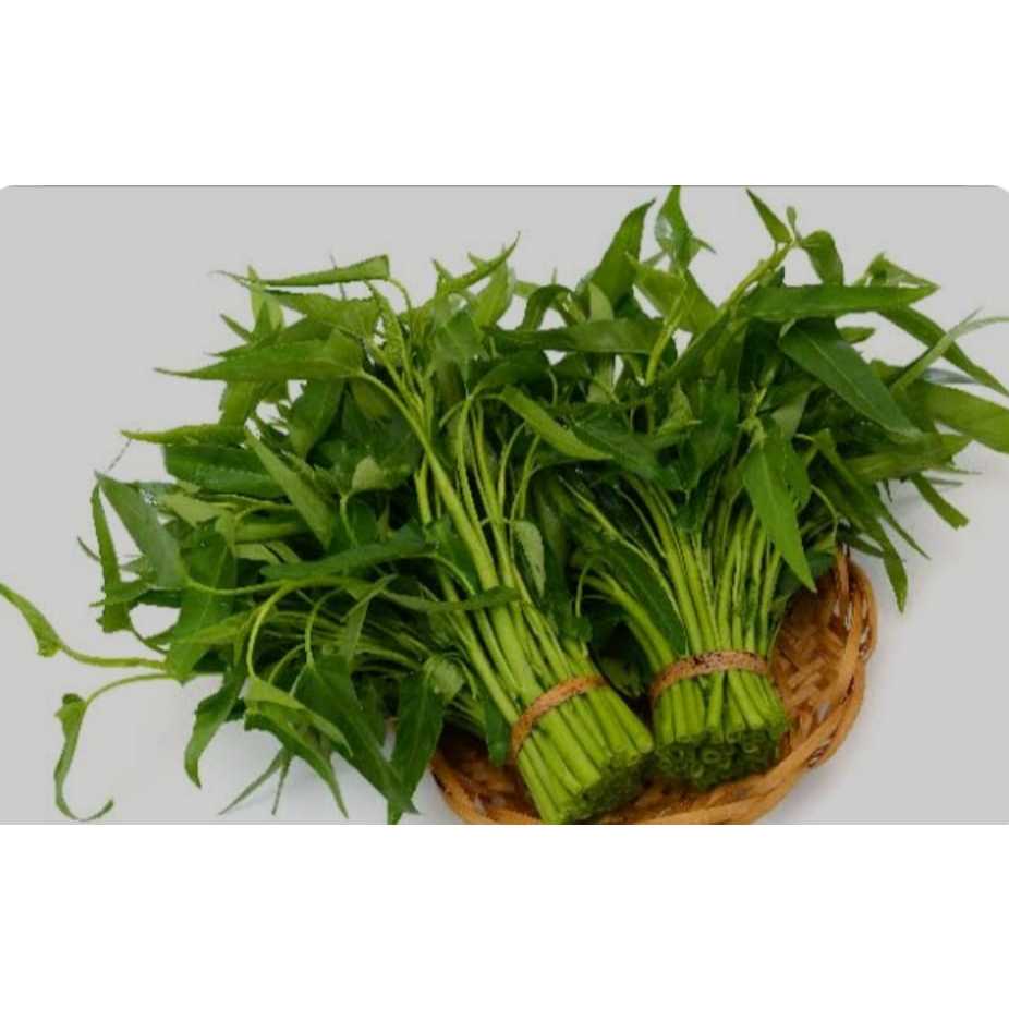 

Sayur Kangkung 1ikat kecil