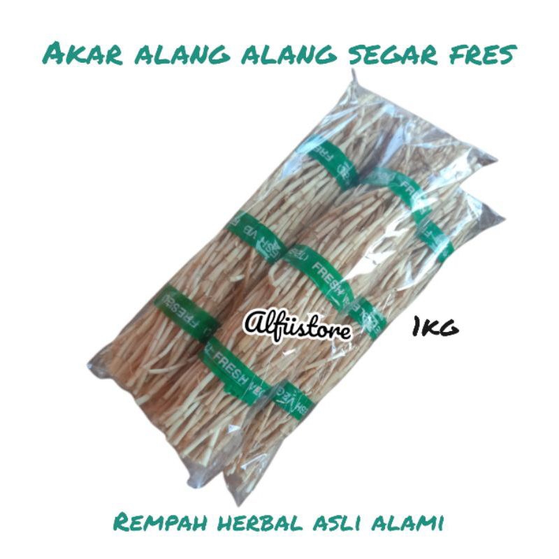 

akar alang alang