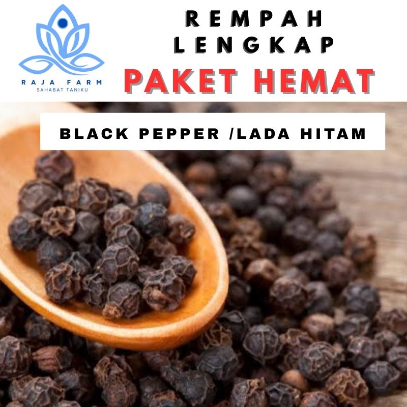 

Blackpepper Lada Hitam Original Bumbu Dapur Paket Hemat