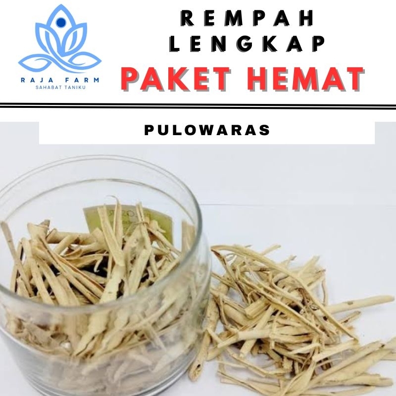 

Rempah Pulowaras Kulit Kayu Pulosari Jamu Herbal Paket Ekonomis