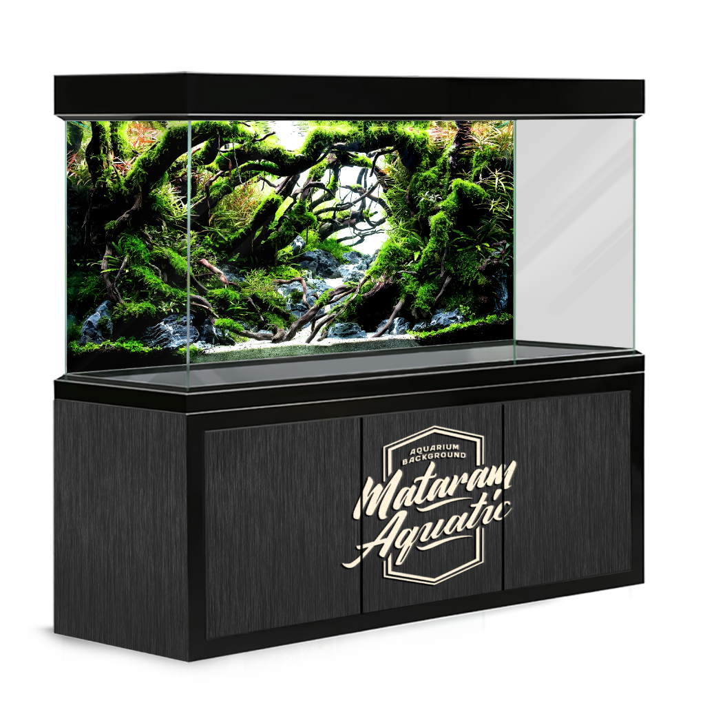 Stiker Background Aquarium Background Aquarium 3D Wallpaper Aquarium
