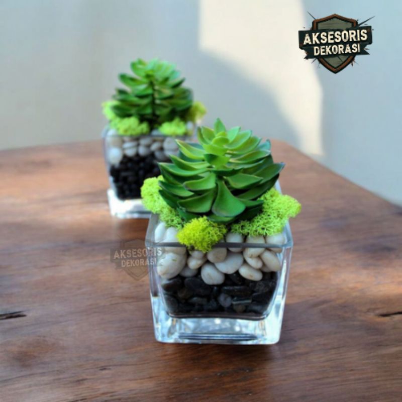 Vas Kaca Persegi Kotak 6x6 cm | Vas Kaca Estetik | Vas Kaca Bunga | Vas Kaca Tanaman | Vas Tanaman H