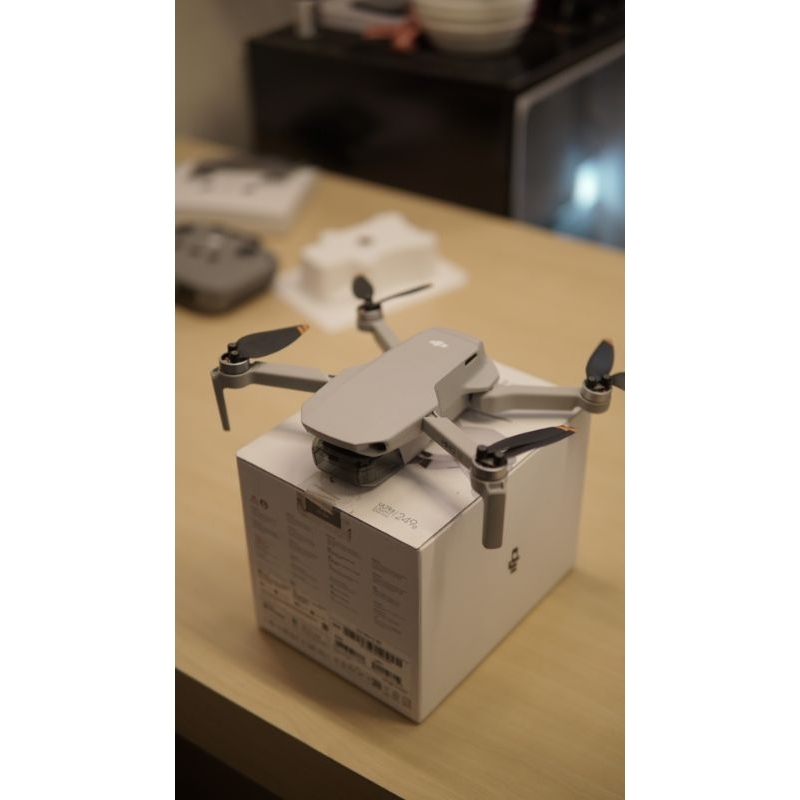 DJI MINI 2 SE basic (second)