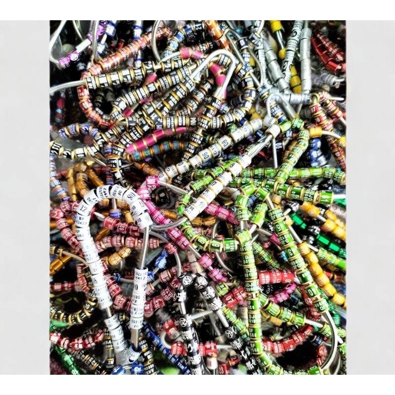 RING BURUNG MURAI,CENDET,KENARI SUDAH TERCETAK NAMA