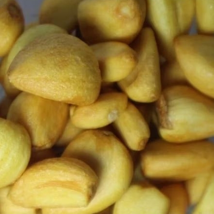 

Kripik Bawang Putih Hafizh [250 ml]