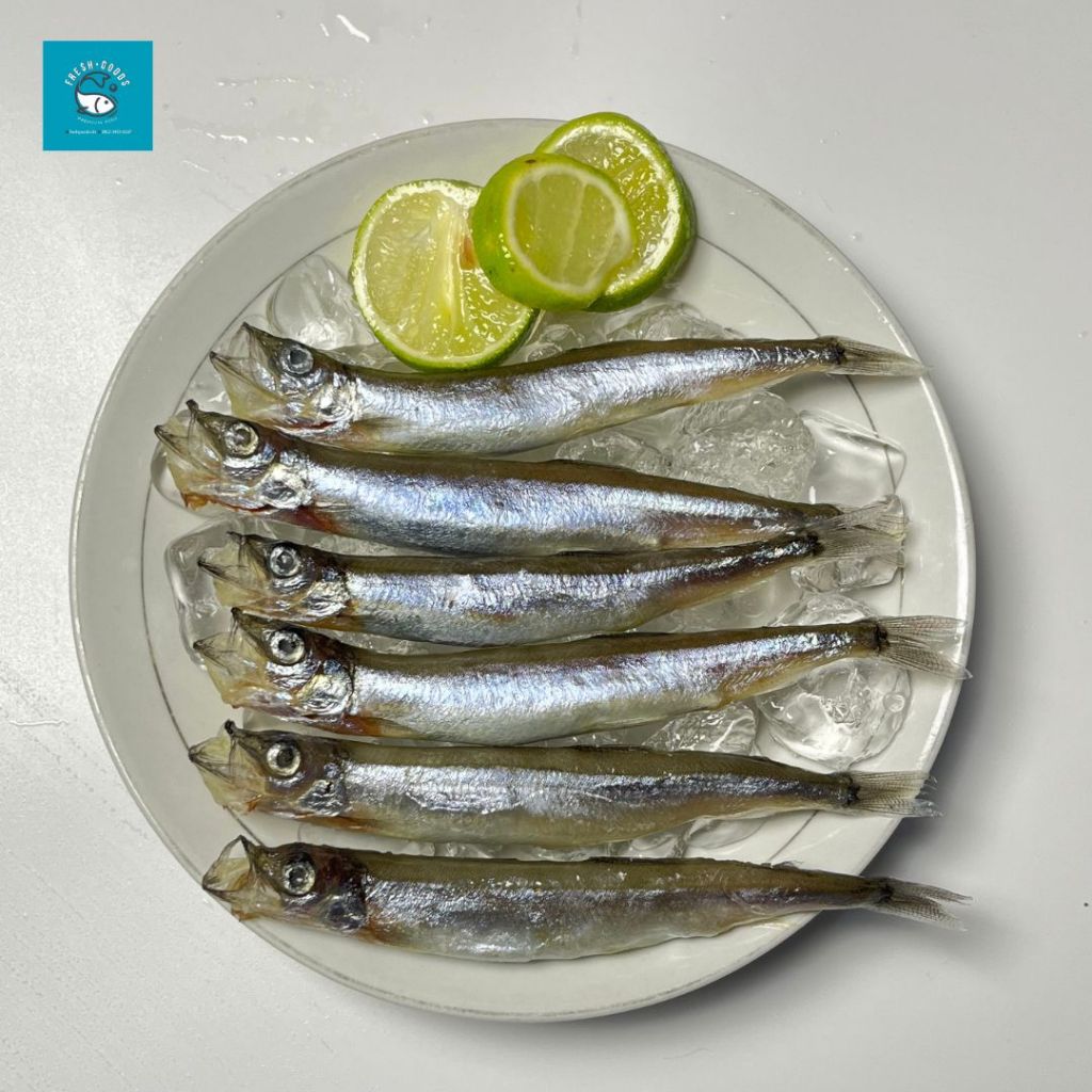 

Ikan Shisamo Betina / Capelin / Ikan Cipung Dijamin SEGAR dan BERKUALITAS By Fresh Goods