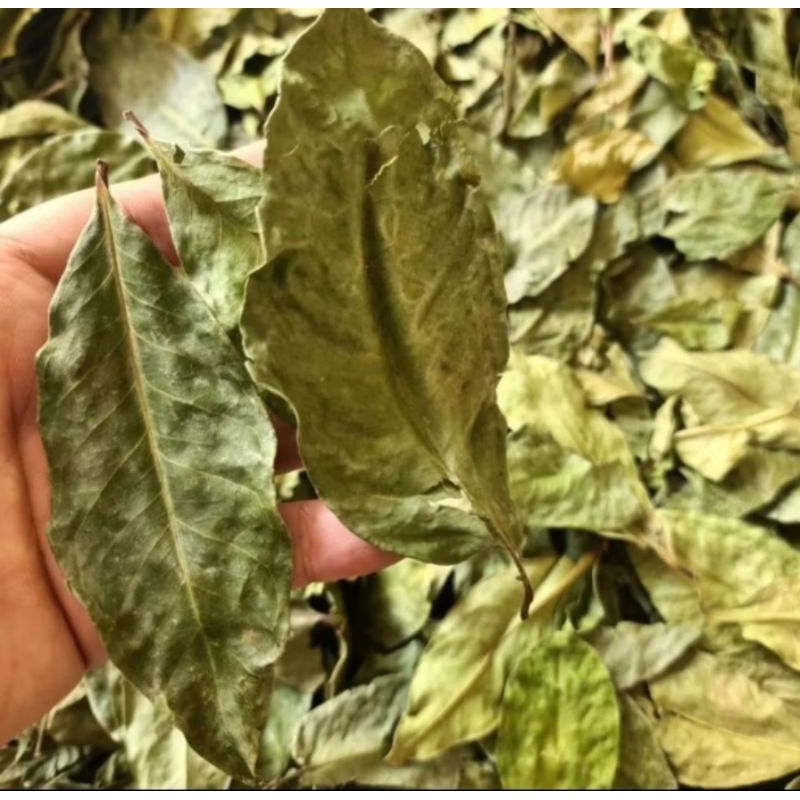 

Daun salam bumbu dapur kering kemasan 500gram