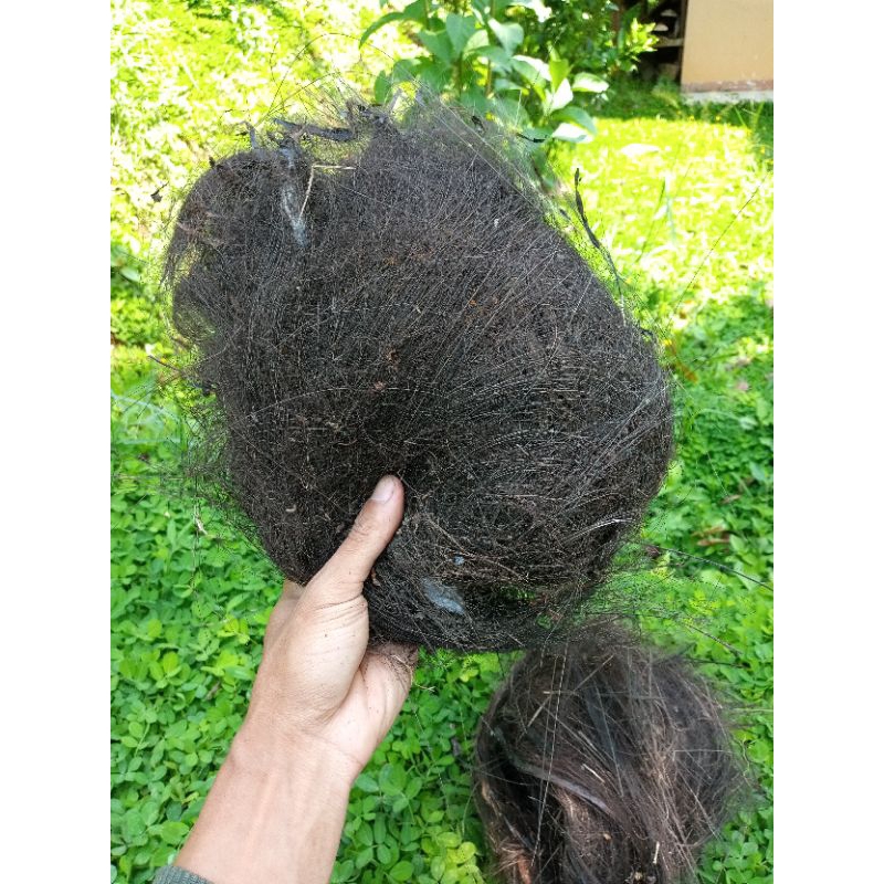 1 ikat injuk |Saringan air | filter air | Saringan pipa paralon | filter kolam | anakan ikan