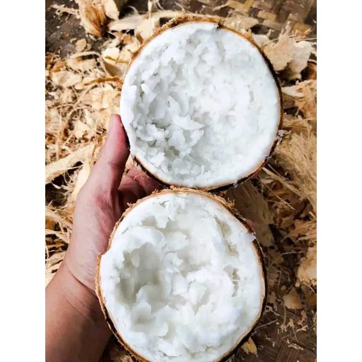 

KELAPA KOPYOR. KELAPA MANIS ENAK BANGET. TERMURAH. ES KELAPA KOPYOR