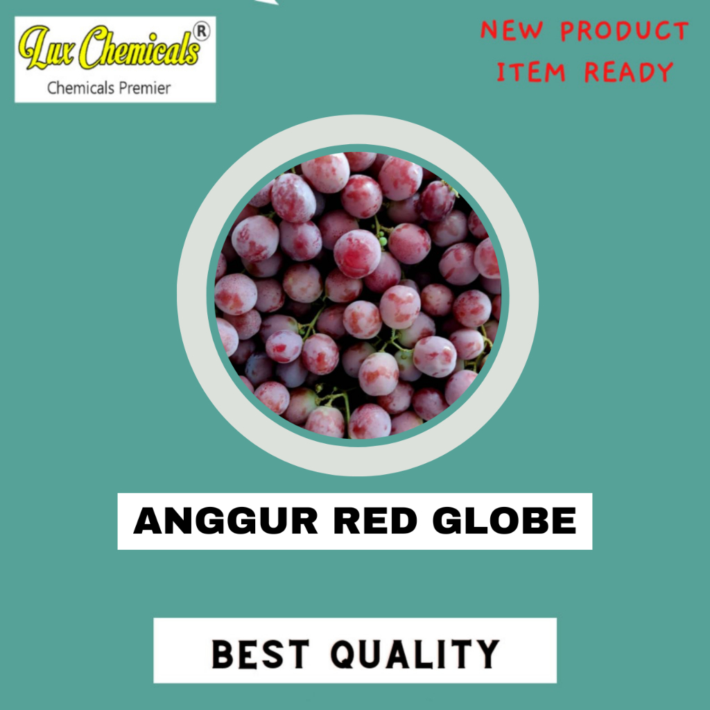

ANGGUR RED GLOBE SEGAR BEST PRODUCT