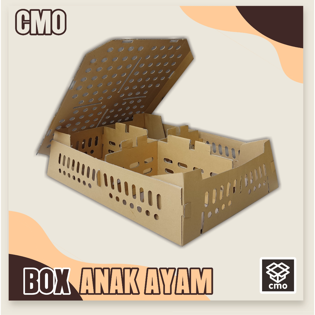 

Box Anak ayam isi 100 ekor 65x49x14 cm