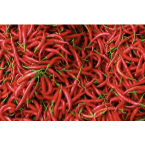 

Cabai Merah Segar Medan Daily Market