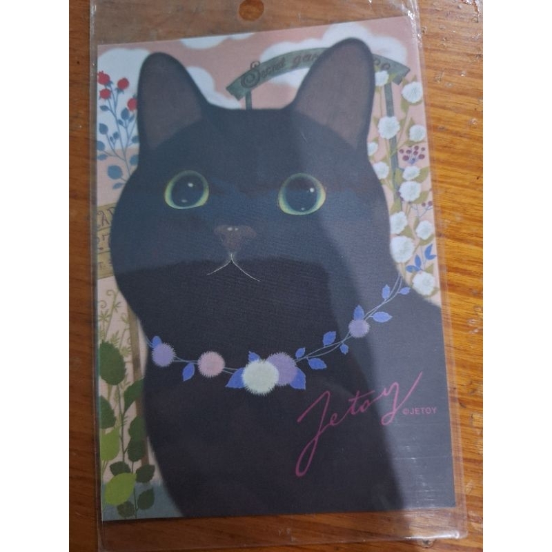 

kartu pos kucing jetoy/jetoy cat postcard