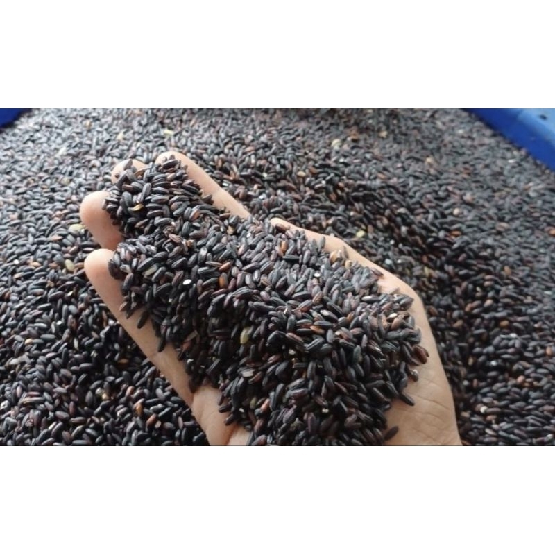 

Beras ketan hitam 1kg