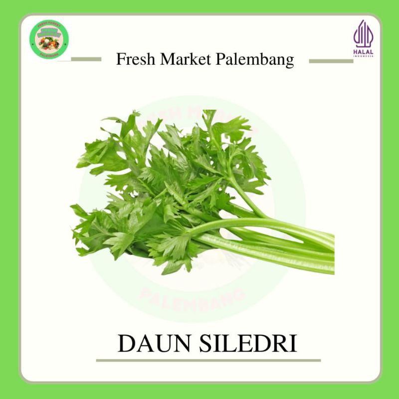 

Daun Saledri/ Seledri-Fresh Market Palembang-