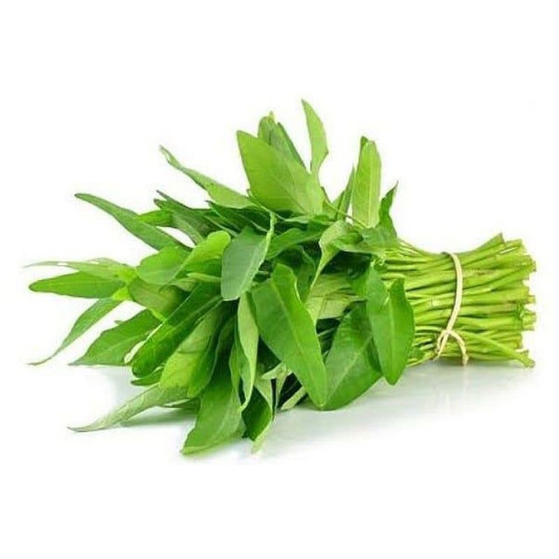 

Kangkung Hijau Segar Ammaryllis Sayur